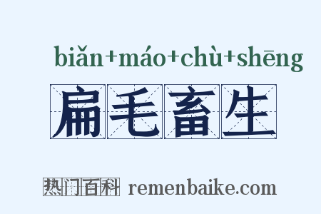 扁毛畜生是什么意思的图片